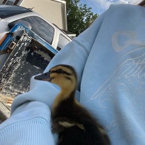 Meet your Posher, Brooke